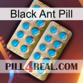 Black Ant Pill new08